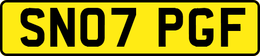 SN07PGF