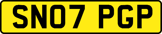 SN07PGP