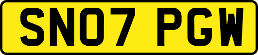 SN07PGW