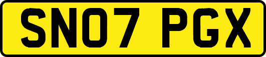SN07PGX