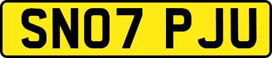 SN07PJU