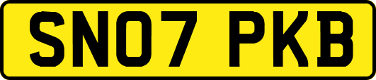 SN07PKB