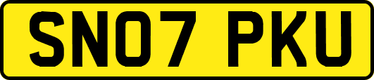 SN07PKU