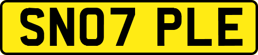 SN07PLE