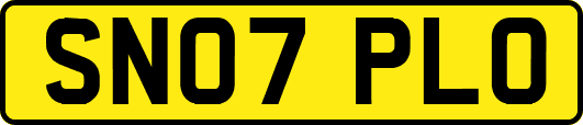 SN07PLO