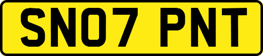 SN07PNT