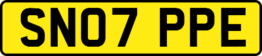 SN07PPE