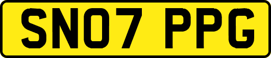 SN07PPG