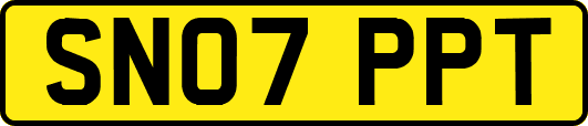 SN07PPT