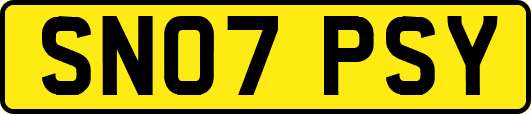 SN07PSY