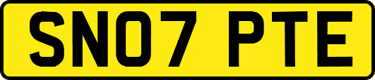 SN07PTE