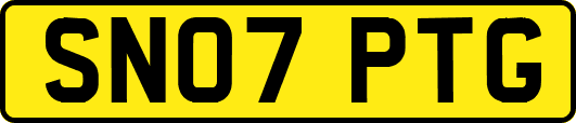 SN07PTG