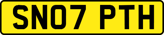 SN07PTH