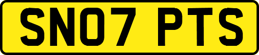 SN07PTS