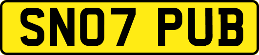 SN07PUB