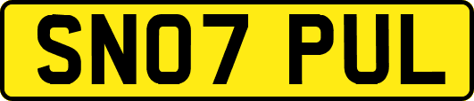 SN07PUL
