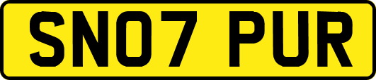 SN07PUR