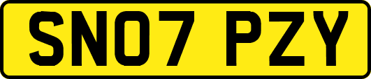 SN07PZY