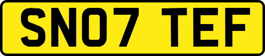 SN07TEF