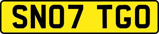 SN07TGO