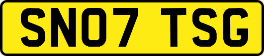 SN07TSG