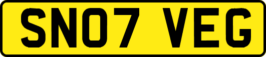 SN07VEG