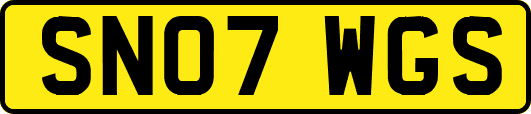 SN07WGS