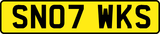 SN07WKS