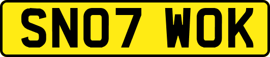 SN07WOK