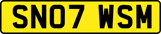 SN07WSM