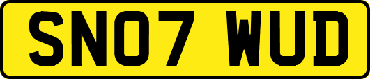 SN07WUD