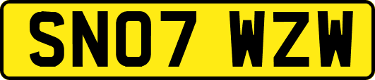 SN07WZW