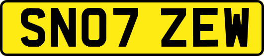 SN07ZEW