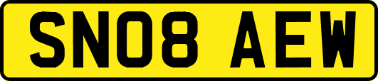 SN08AEW