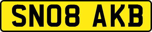 SN08AKB