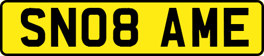 SN08AME
