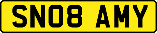 SN08AMY