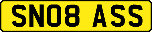 SN08ASS
