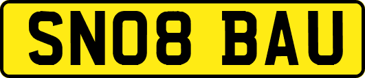 SN08BAU