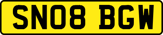 SN08BGW