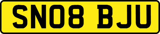 SN08BJU