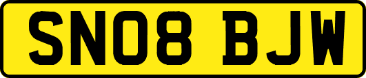 SN08BJW