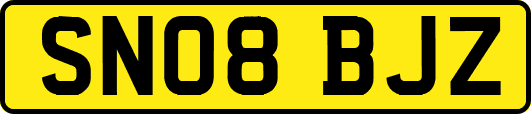 SN08BJZ