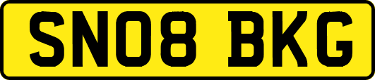SN08BKG