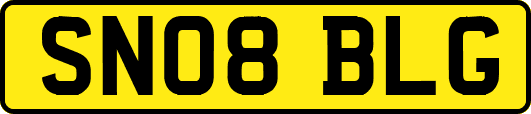 SN08BLG