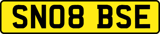 SN08BSE