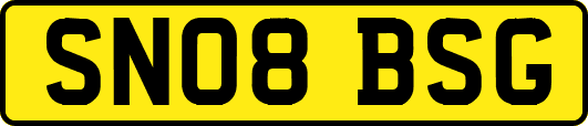 SN08BSG