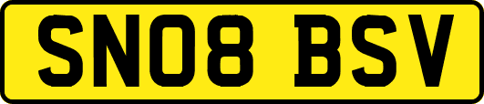 SN08BSV