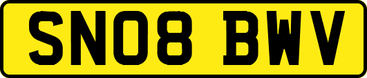 SN08BWV