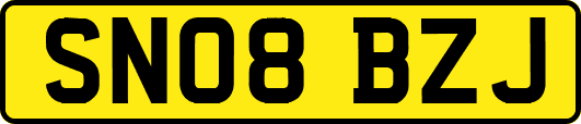 SN08BZJ